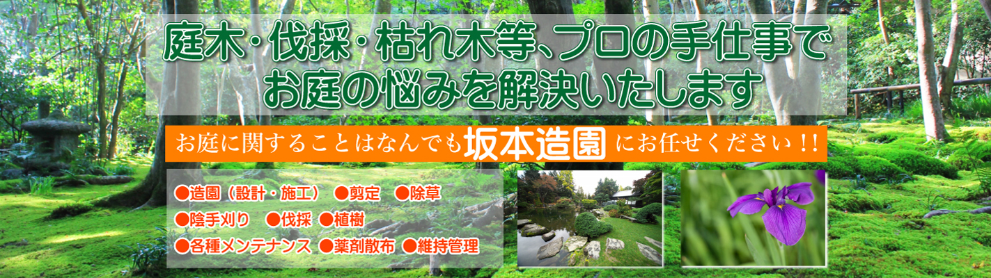 庭木・伐採・枯れ木等 プロの手仕事でお庭の悩みを解決いたします