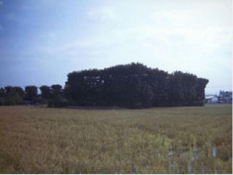 株式会社坂本造園