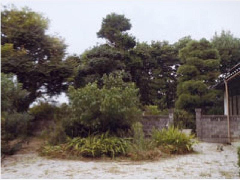 株式会社坂本造園